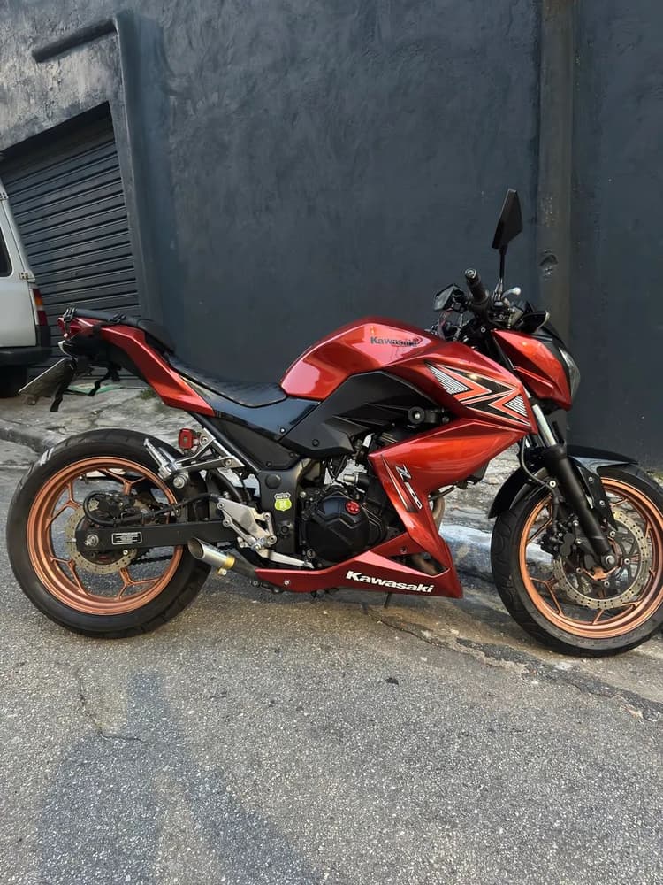 z300