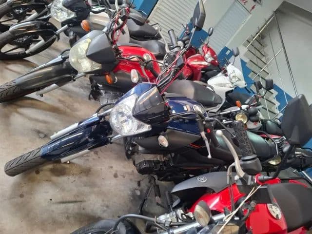 Yamaha Factor 2024