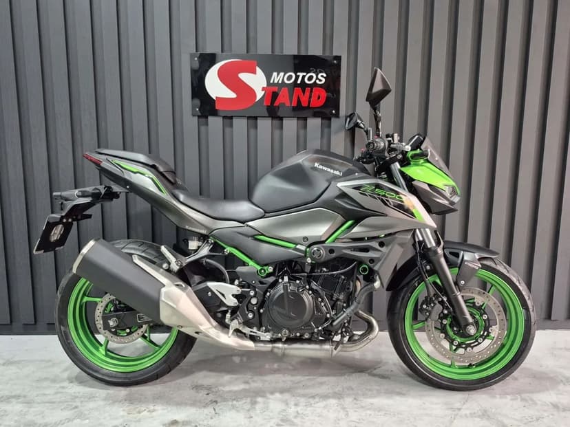 Z 500