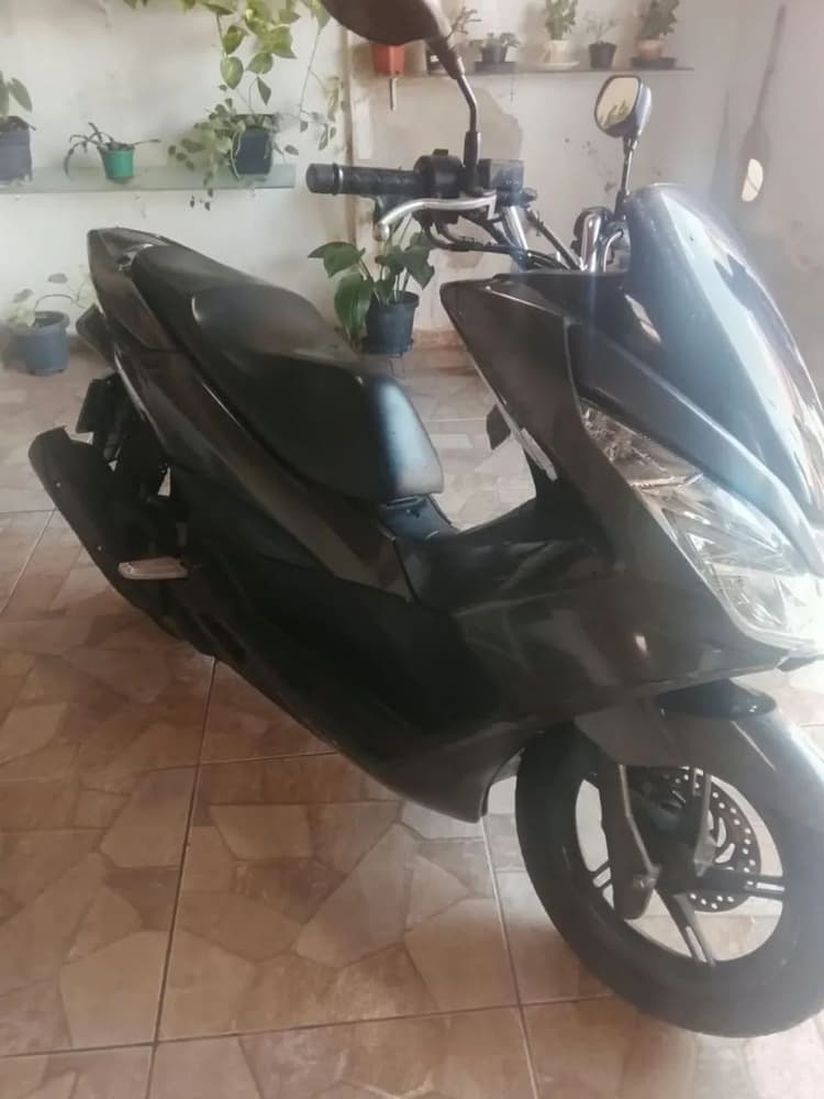 PCX 150  16/17
