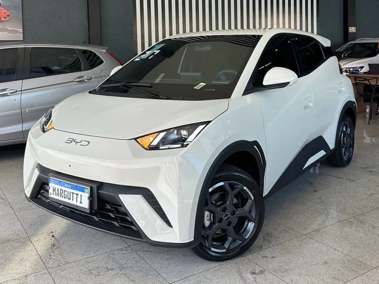 BYD Dolphin Mini (Elétrico) 2027