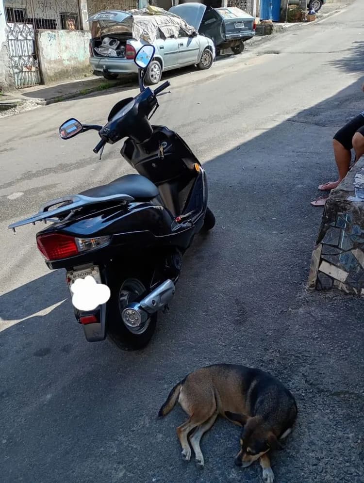 Vendo