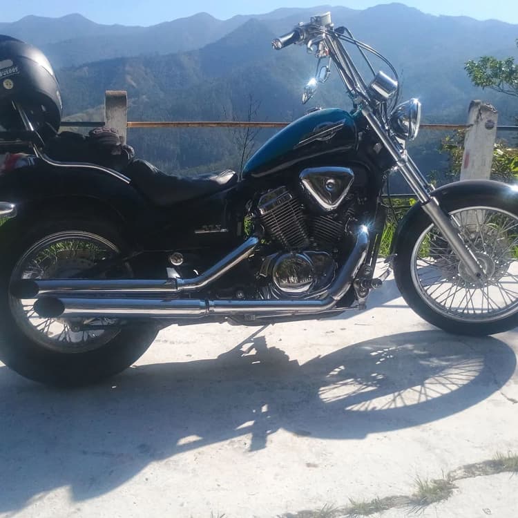 Shadow 600