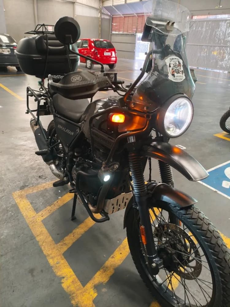 Himalayan