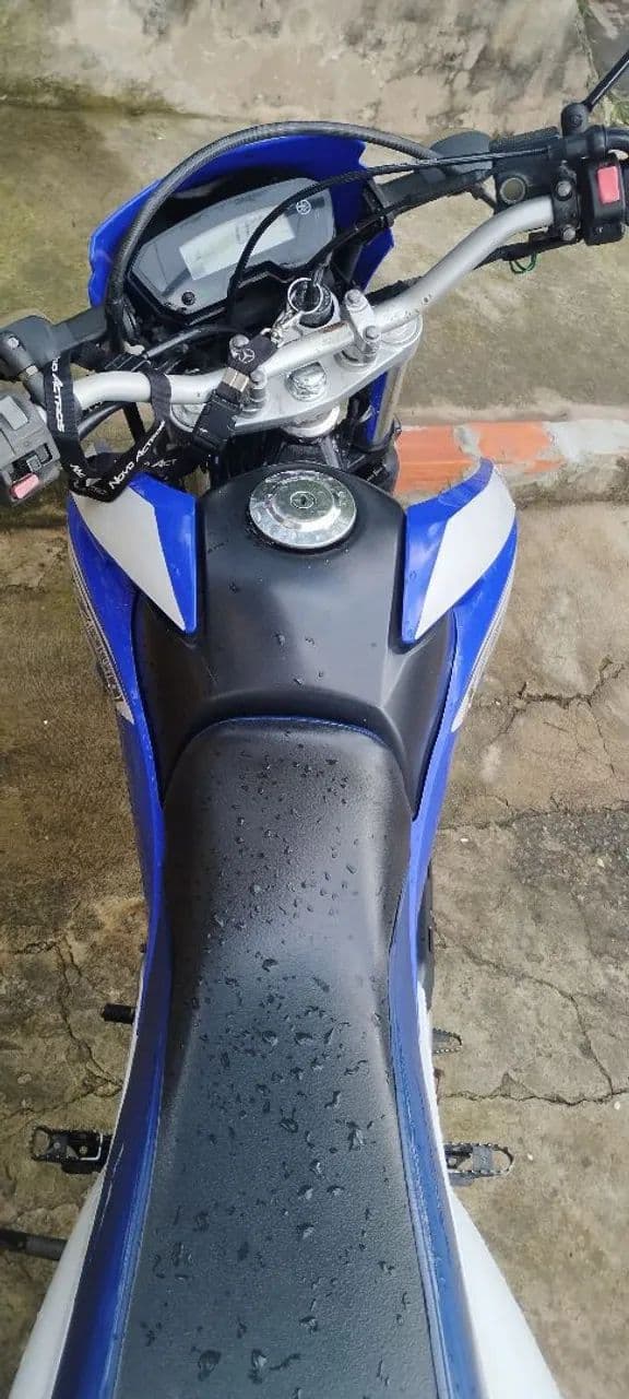 Limpo, pegar e transferir 