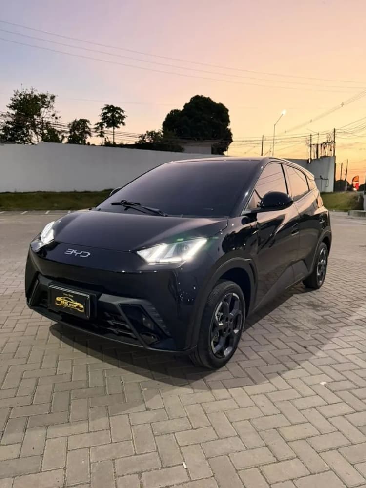 BYD Dolphin Mini GL 2027