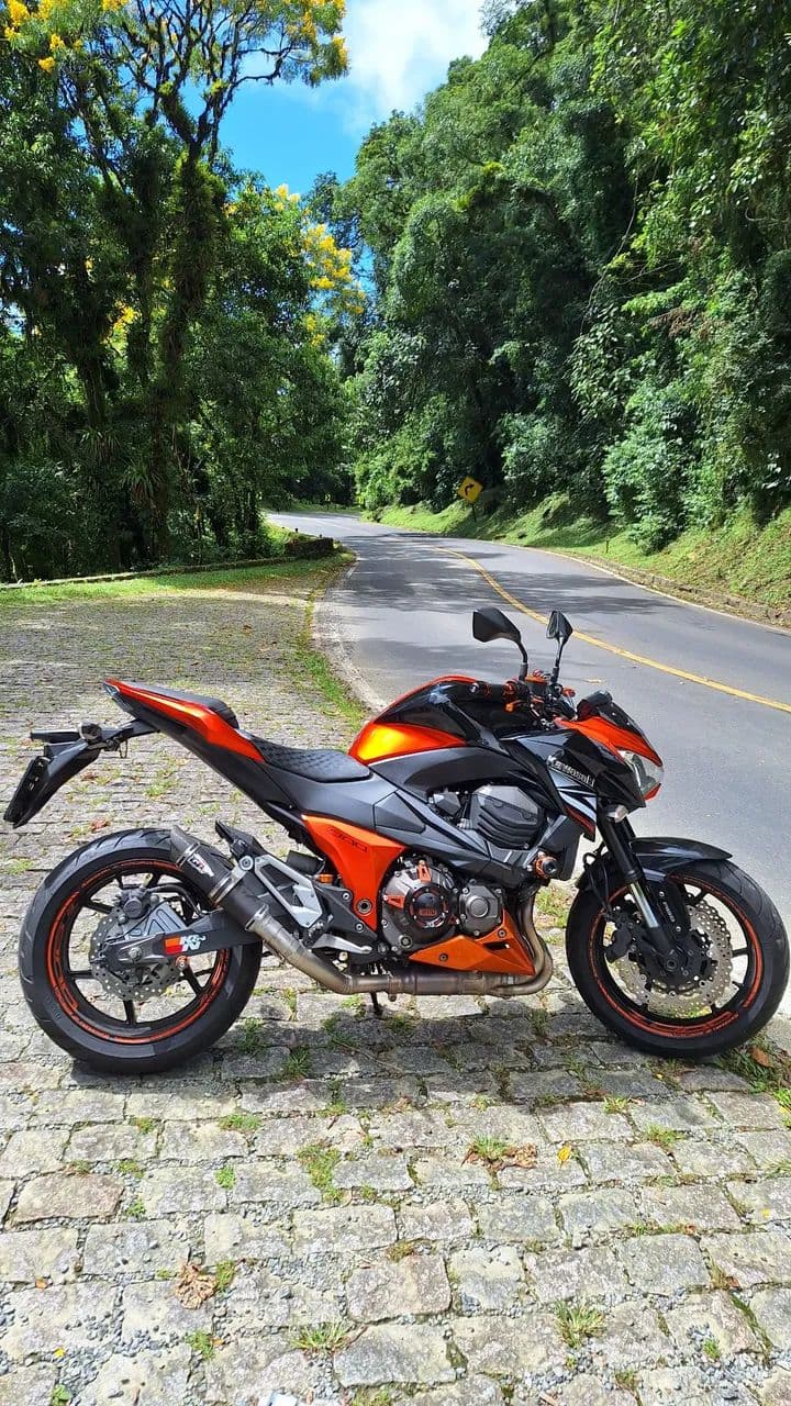 Z800 2014 