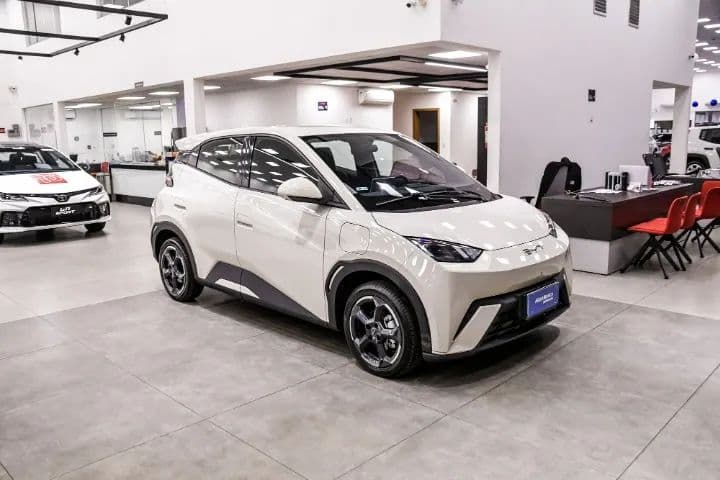 BYD Dolphin Mini (Elétrico) 2025