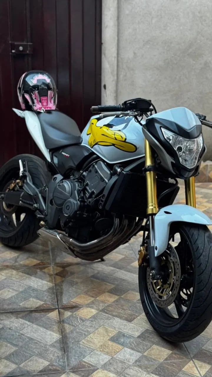 Hornet 2013