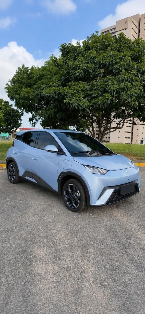 BYD Dolphin Mini (Elétrico) 2027