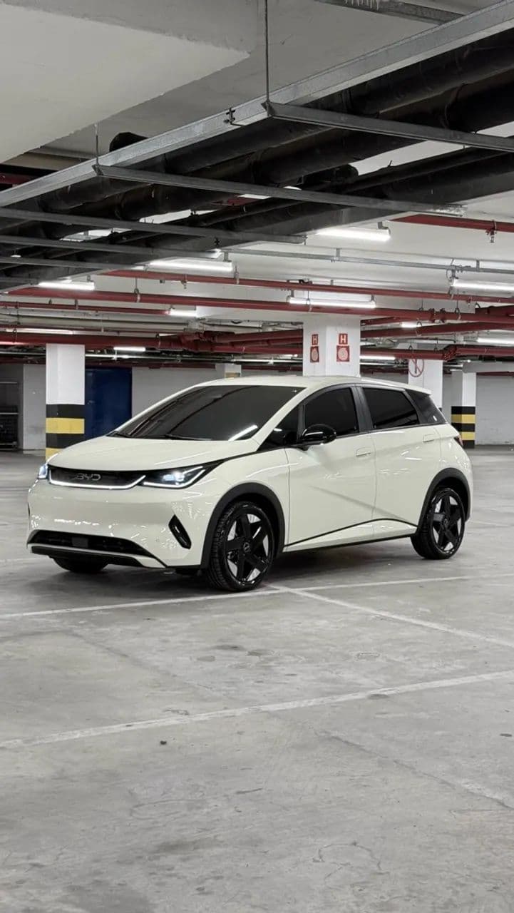 BYD Dolphin SE 2027