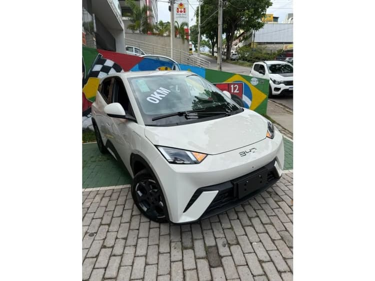 BYD Dolphin Mini (Elétrico) 2027
