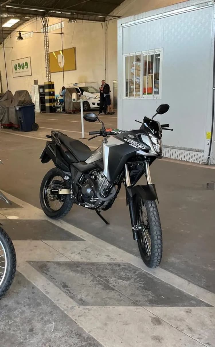 Shaara 300