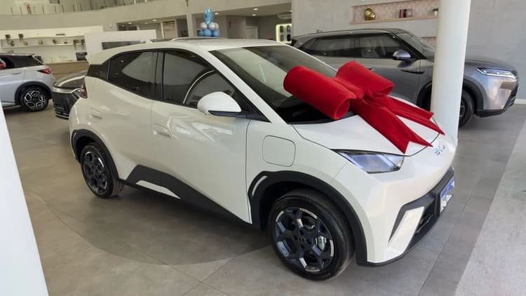 BYD Dolphin Mini (Elétrico) 2027