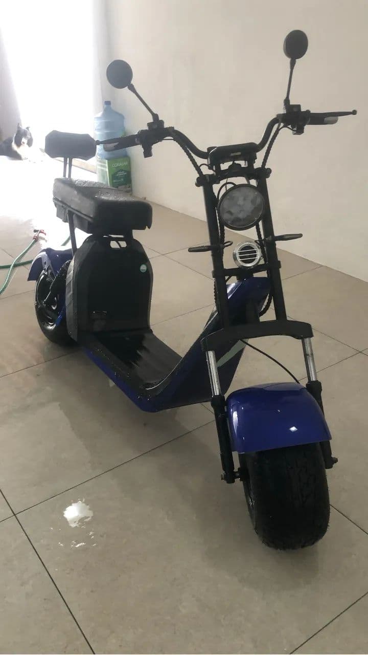 Moto
