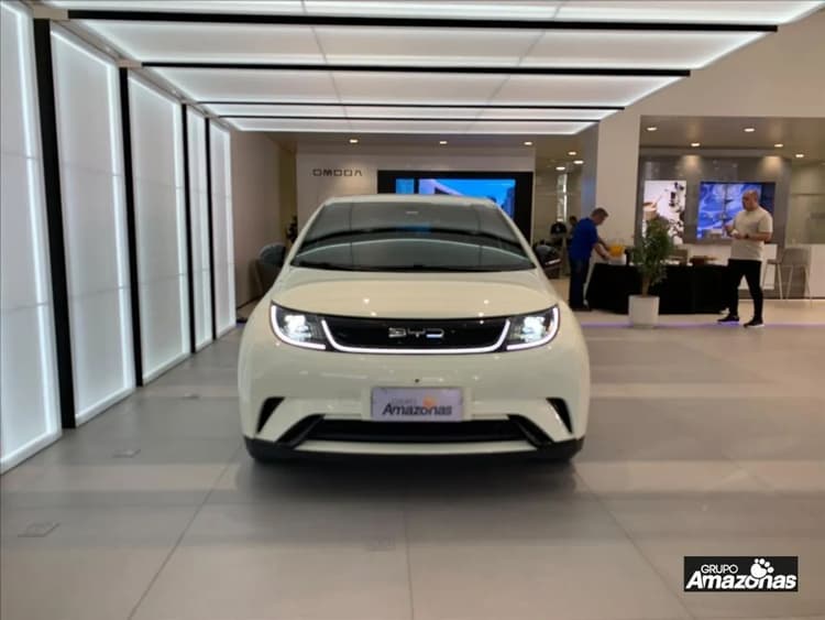 BYD Dolphin EV (Elétrico) 2024