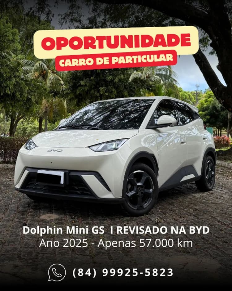 BYD Dolphin Mini (Elétrico) 2025
