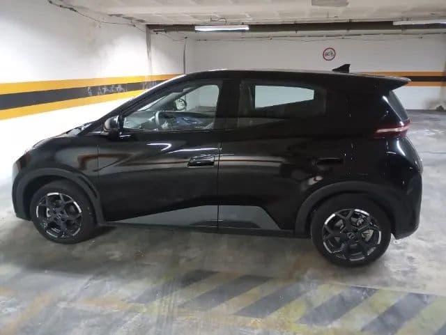 BYD Dolphin Mini GL 2026