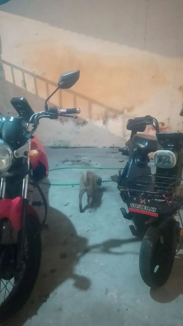 Scooter elétrica nova pra vender rápido 