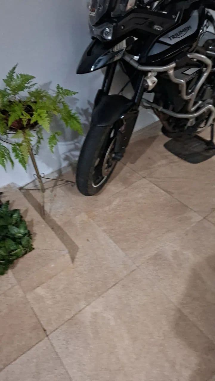Tiger 900cc GTPRO 