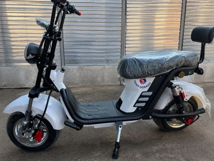 Moto elétrica 