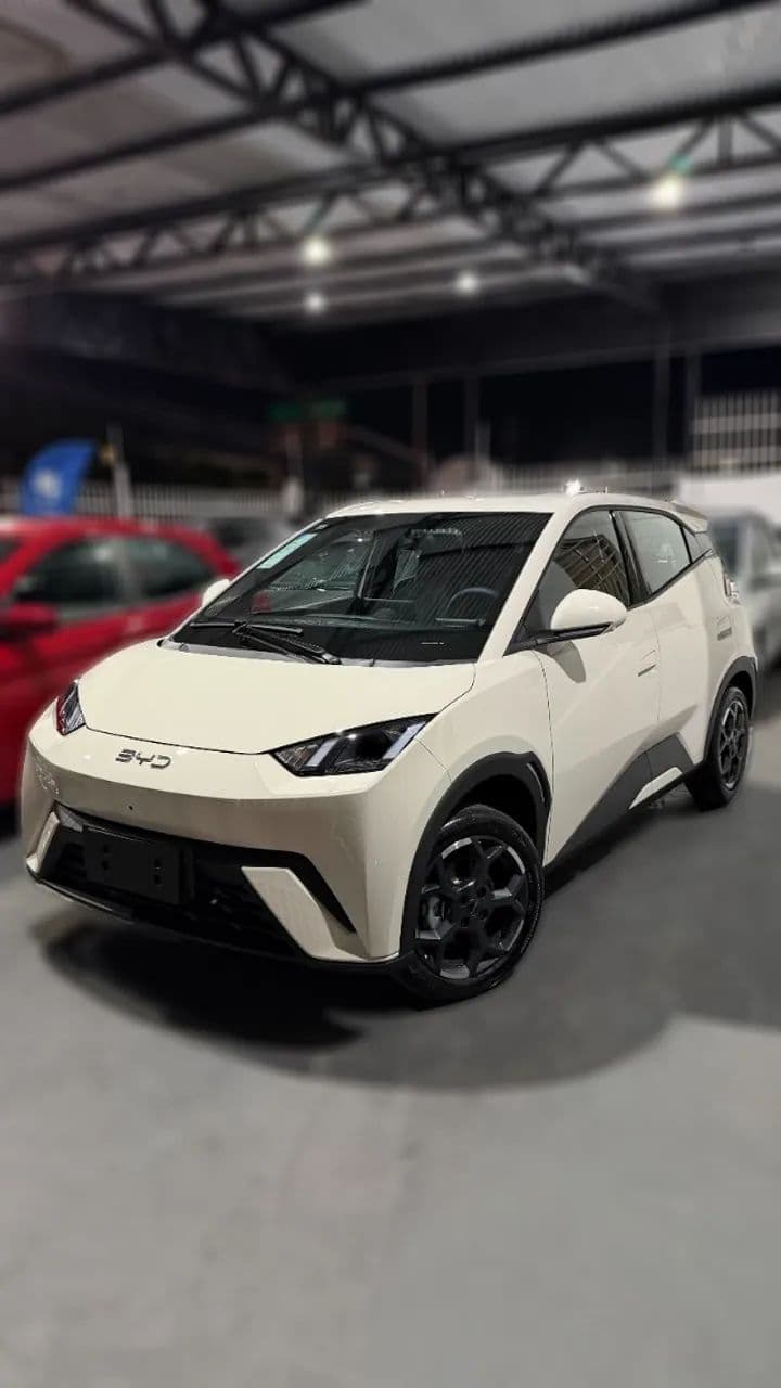 BYD Dolphin Mini (Elétrico) 2027