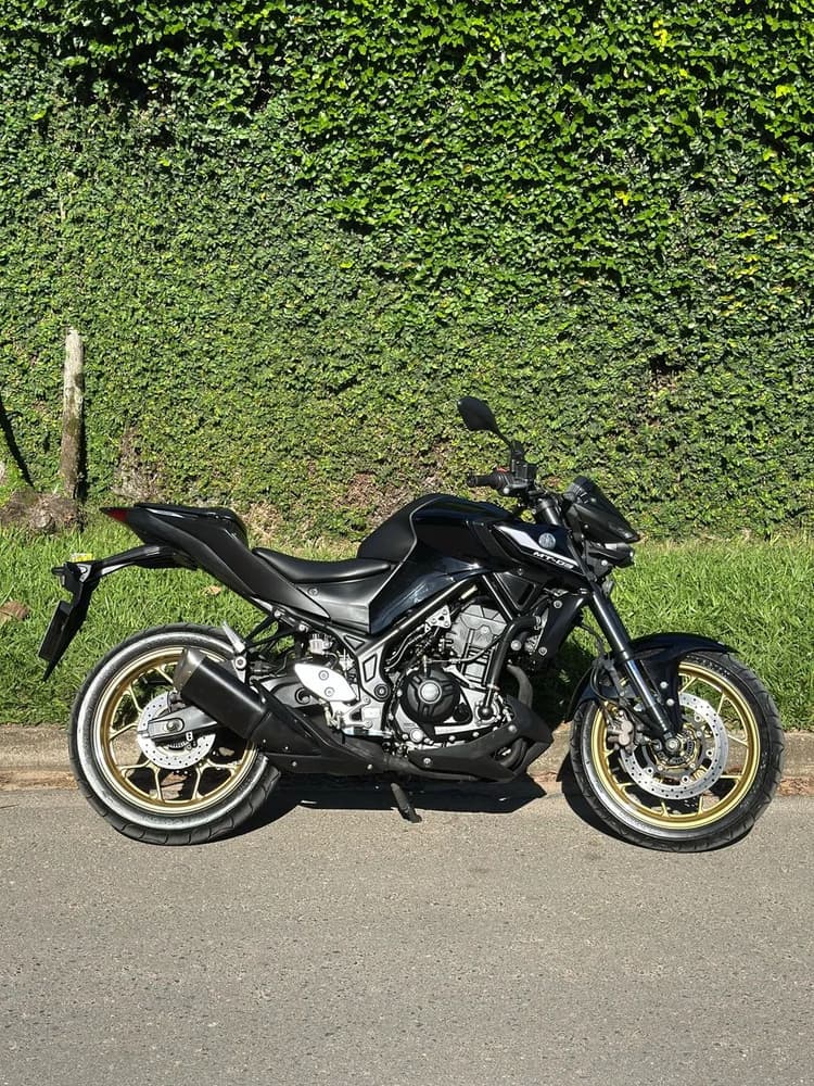 MT 03