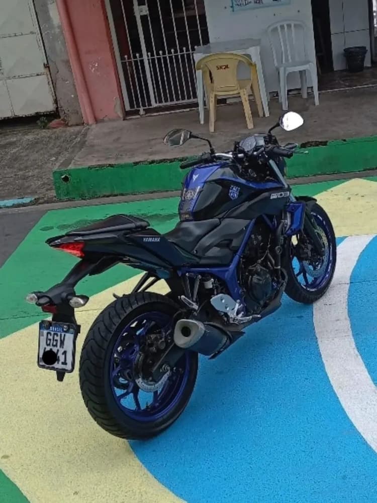 Mt03