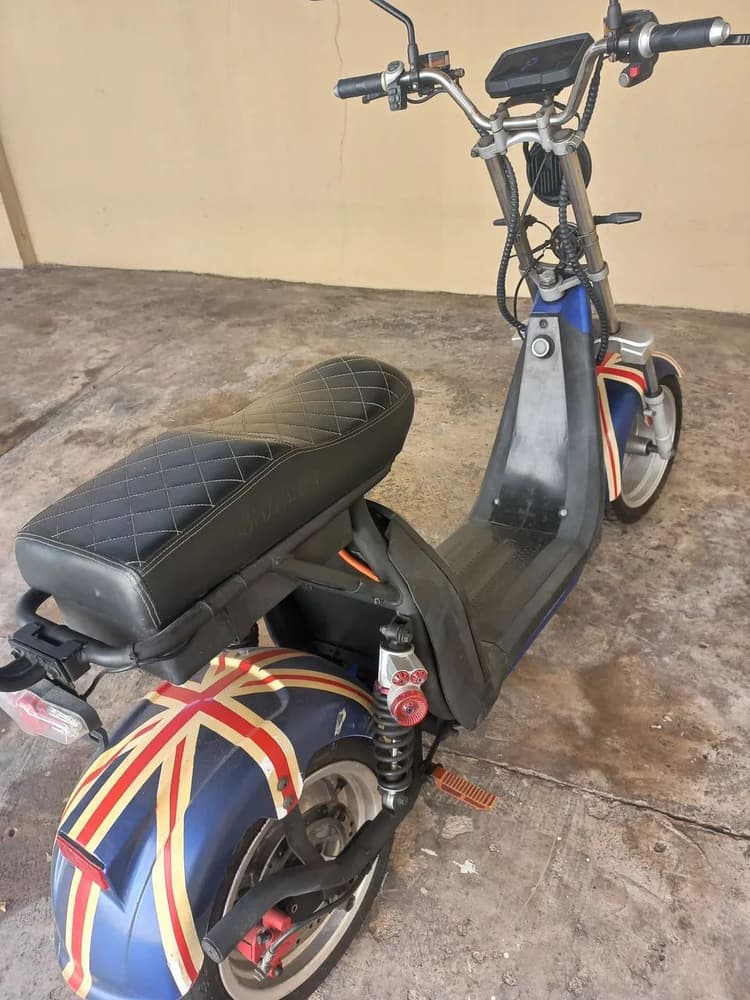 PT 300 SHINERAY