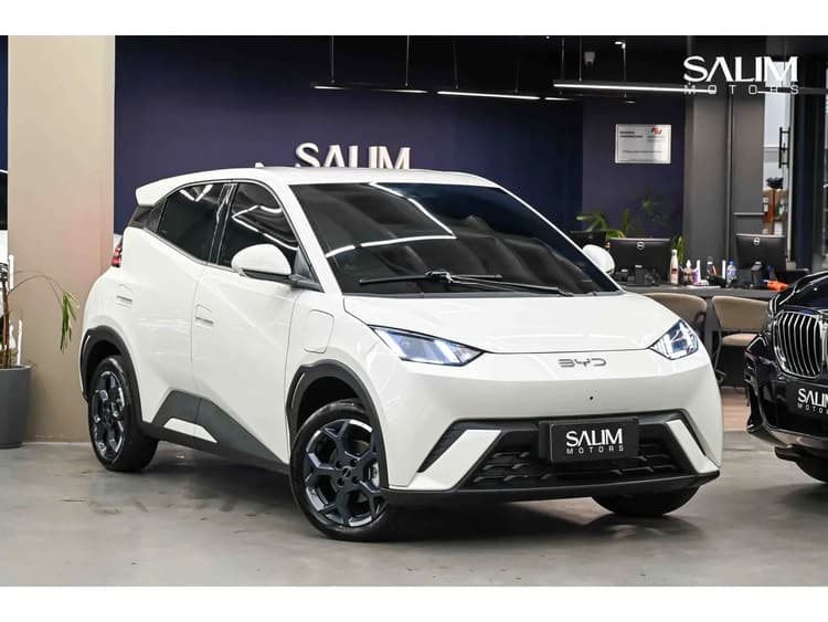 BYD Dolphin Mini (Elétrico) 2027