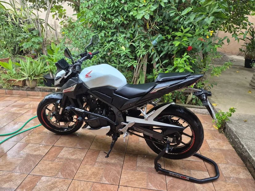 Hornet 500
