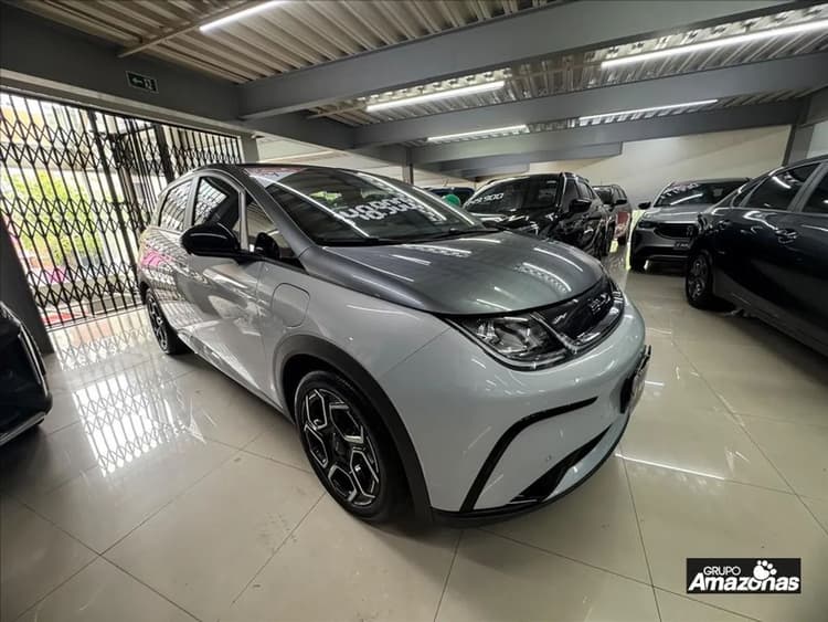 BYD Dolphin Plus (Elétrico) 2024