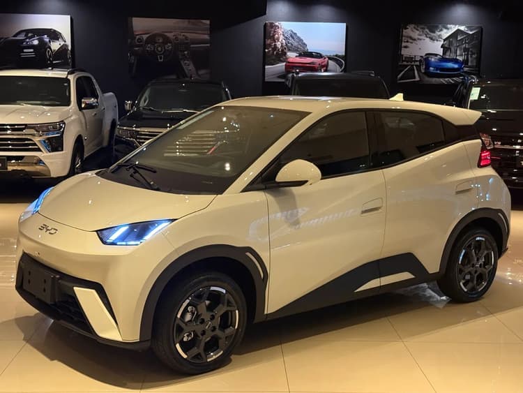 BYD Dolphin Mini (Elétrico) 2027