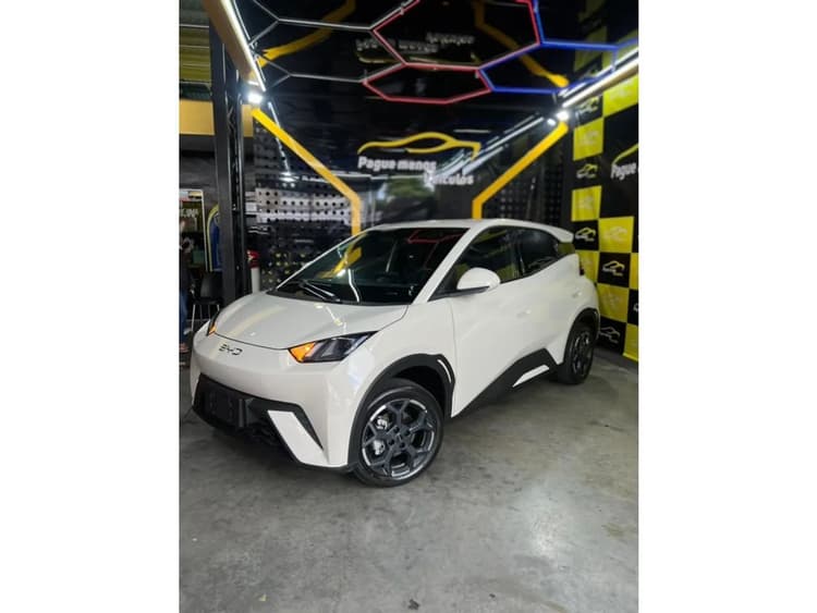 BYD Dolphin Mini (Elétrico) 2027