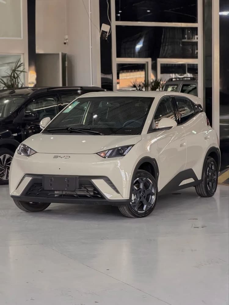 BYD Dolphin Mini (Elétrico) 2027