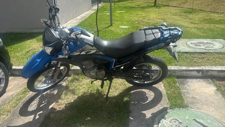 Broz 2021 de procedência 
