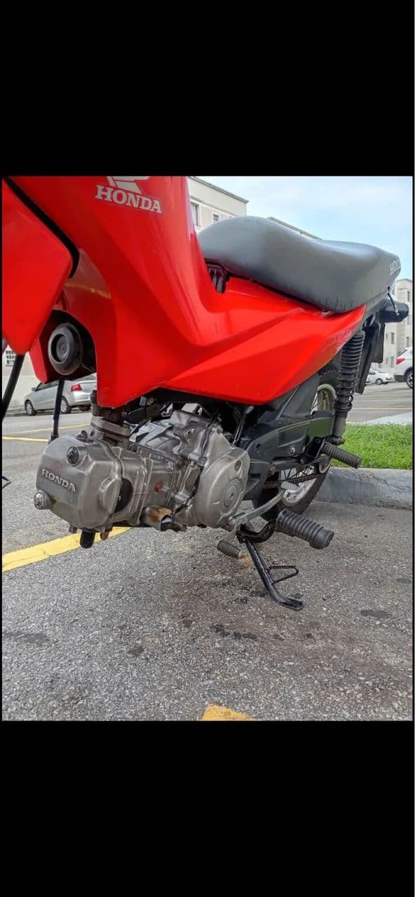Honda pop 2020