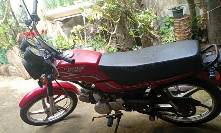 Moto Shineray
