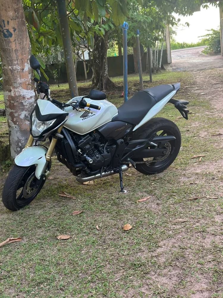 Hornet 600