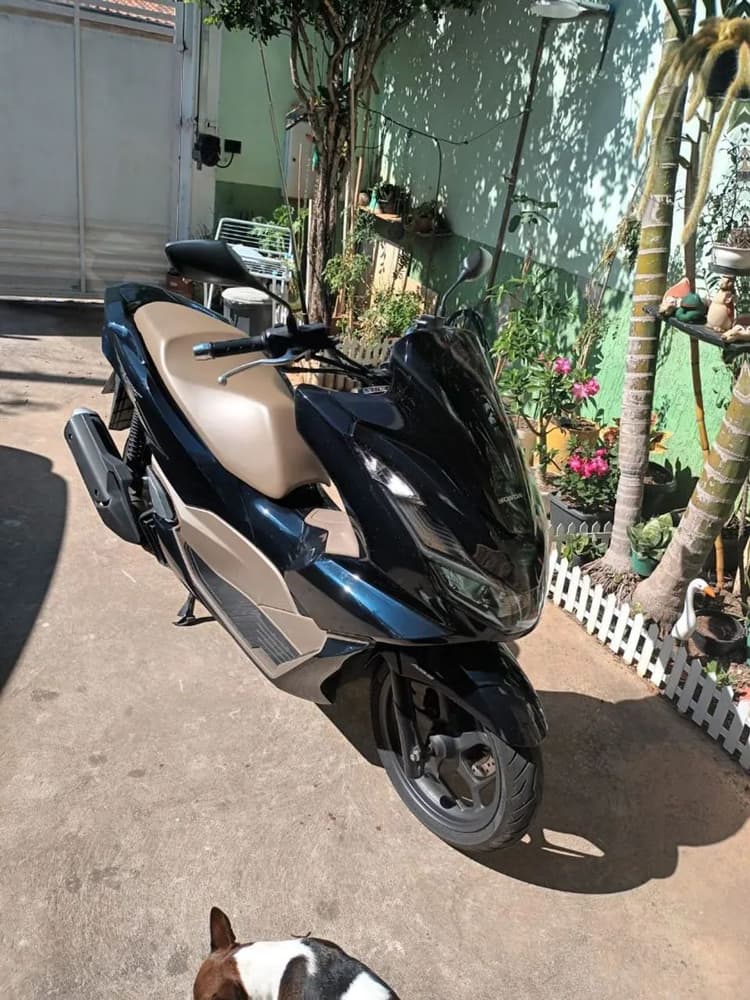 Honda PCX 160 DLX ABS