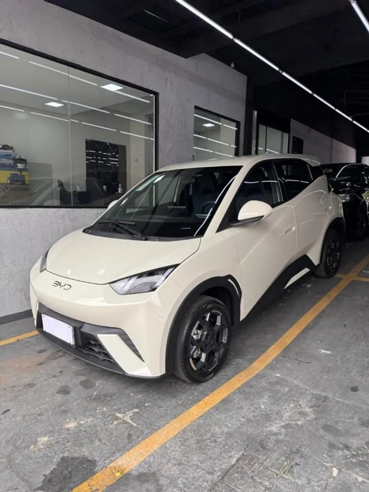 BYD Dolphin Mini (Elétrico) 2027