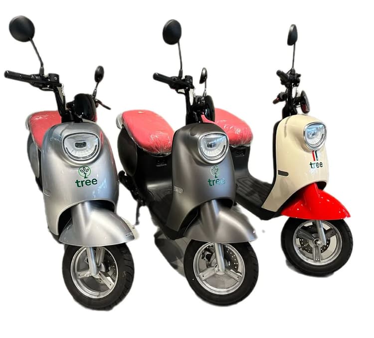 Tree Motorino 800w (Elétrica)