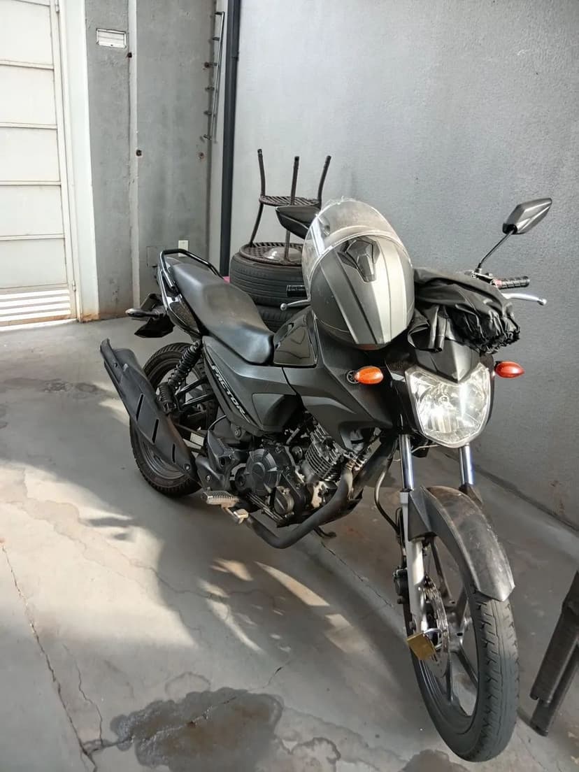 Factor 125 2019 