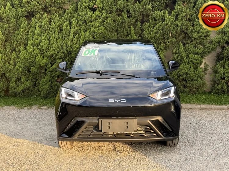 BYD Dolphin Mini (Elétrico) 2027