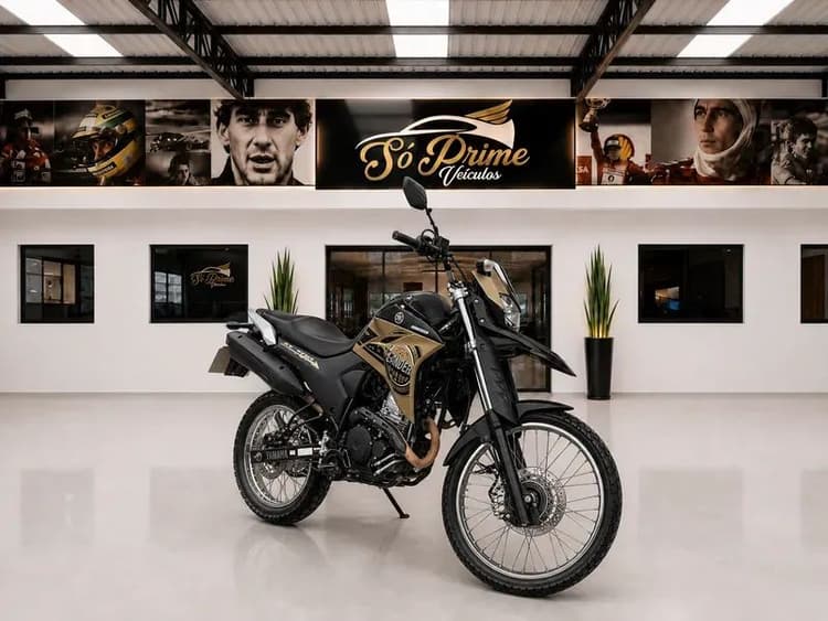 Yamaha XTZ Flex Manual