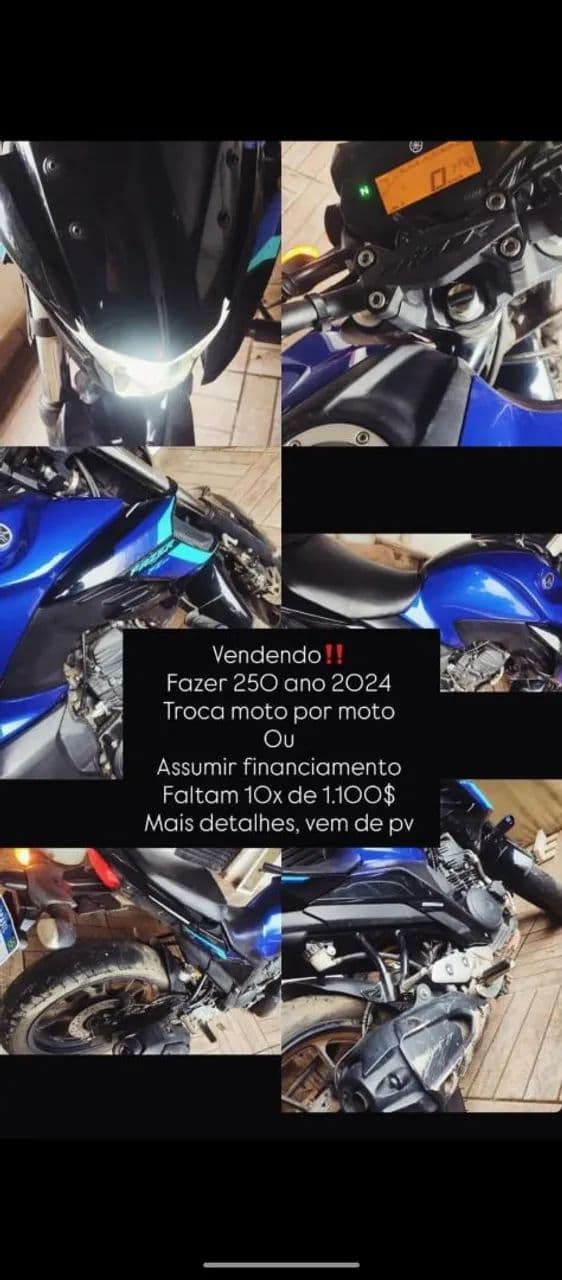 Fz 250 2024 blueflex