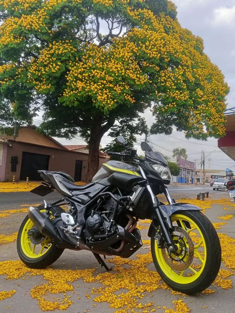 MT 03 