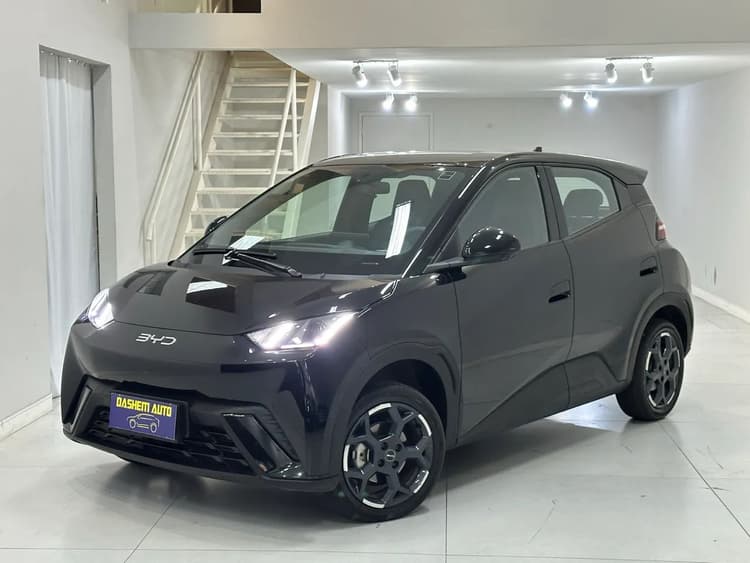 BYD Dolphin Mini (Elétrico) 2026