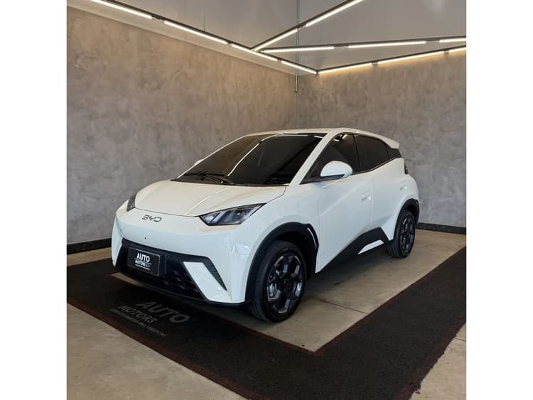 BYD Dolphin Mini (Elétrico) 2027