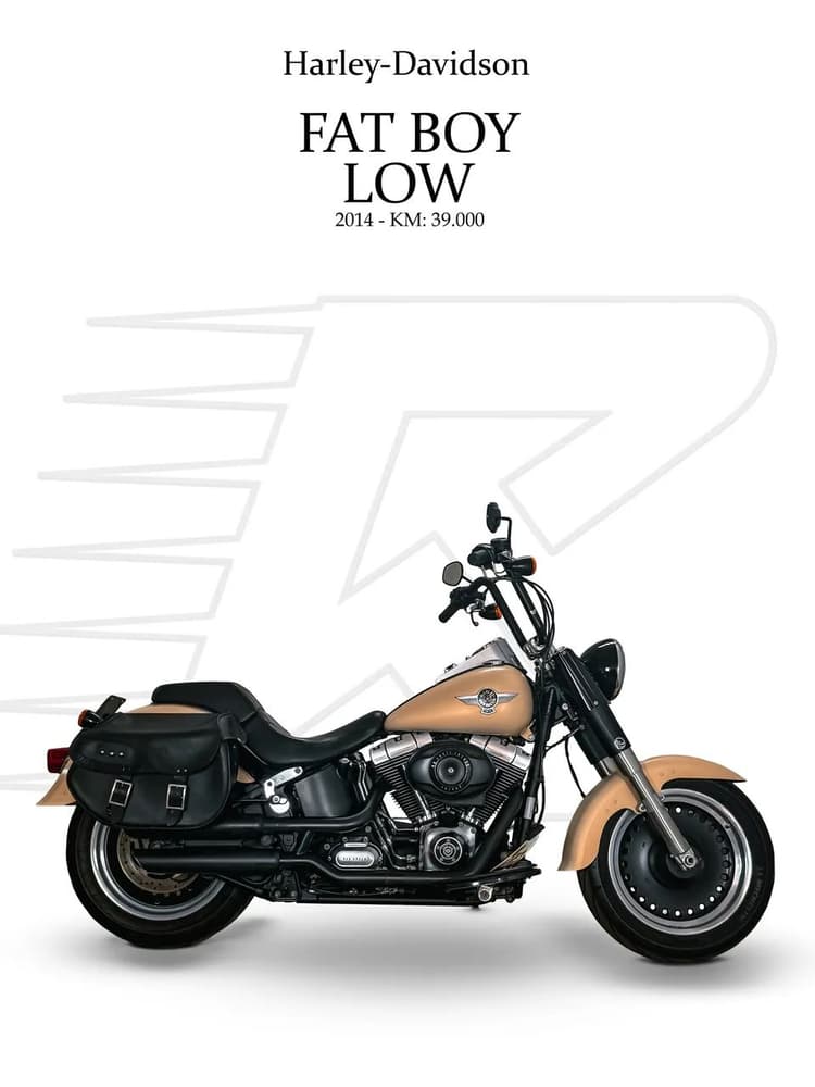 HARLEY DAVIDSON FAT BOY LOW SPECIAL - 2014